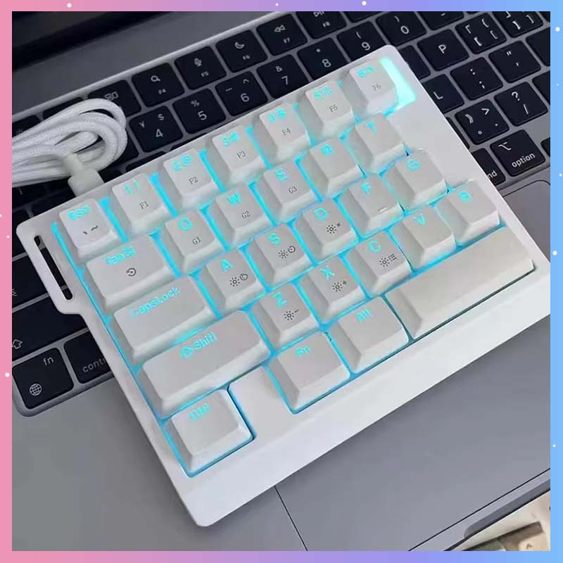 HE30 Mechanical Gaming Keyboar - Esports Gaming Keyboard review and price
